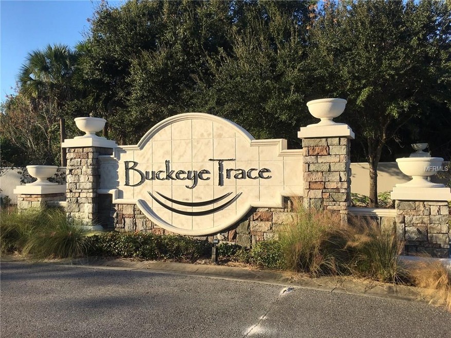 1346 Buckeye Trace Blvd, Winter Haven, FL 33881 - photo 1