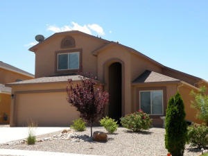 1212 Desert Paintbrush