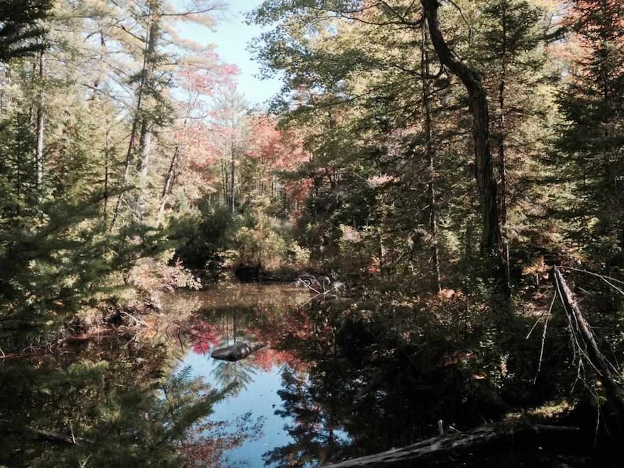 136 Sodom Rd, Center Tuftonboro, NH 03816 - photo 1