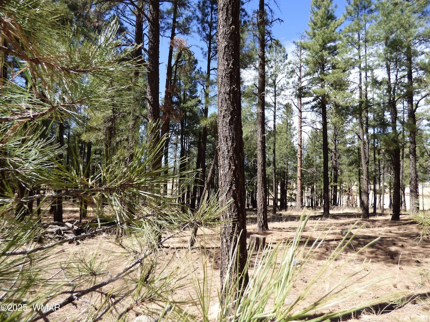 For Sale $95,000 • Co-Listing Agent