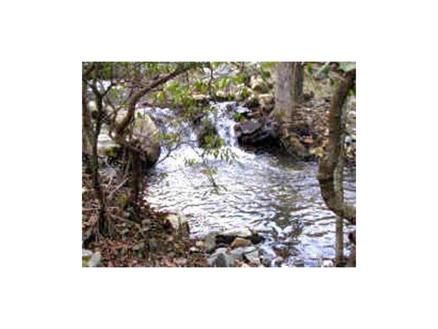 Exterior Front. Cascading Waterfall & Creek on Lot