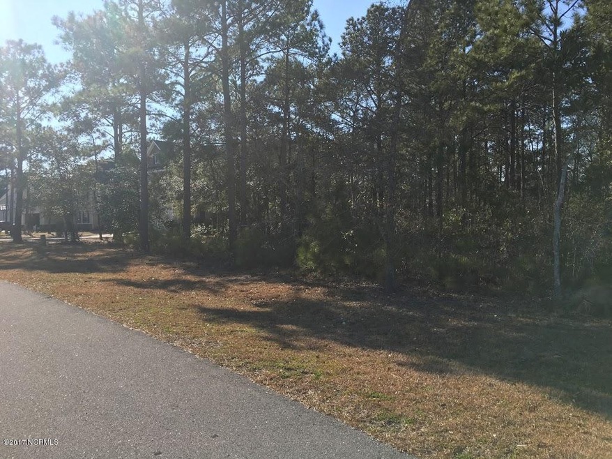 319 E Dolphin View, Sneads Ferry, NC 28460 - photo 1