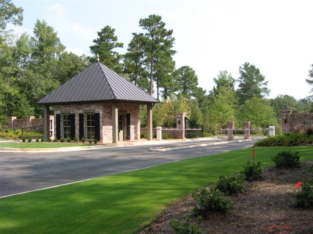 Main View