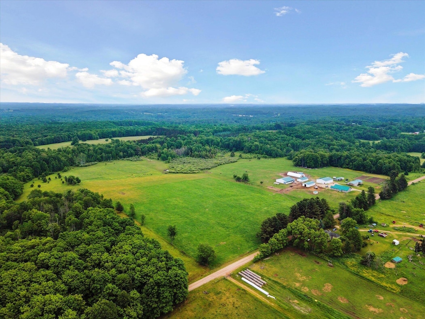 21576 Patterson Rd unit Option B, Tustin, MI 49688 - photo 1