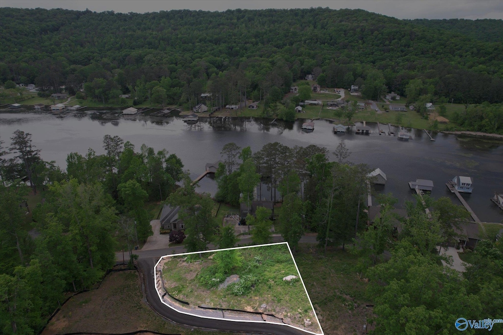 L 4 White Elephant Rd, Grant, AL 35747 MLS 21859729