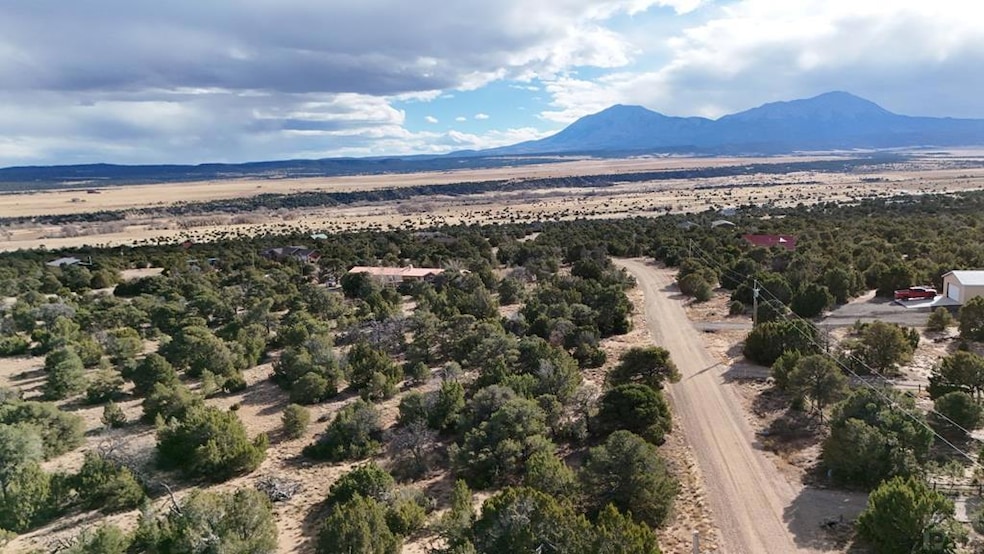 TBD Lot 147 Antelope Loop, Walsenburg, CO 81089 - photo 1