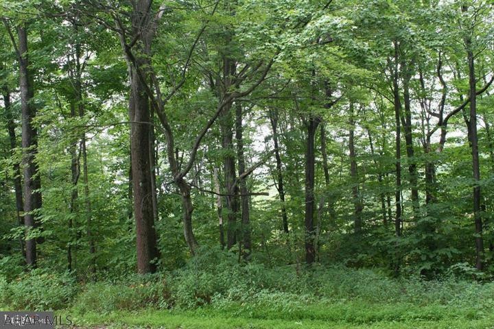 108 Indiana Ave, Bedford, PA 15522 - photo 1