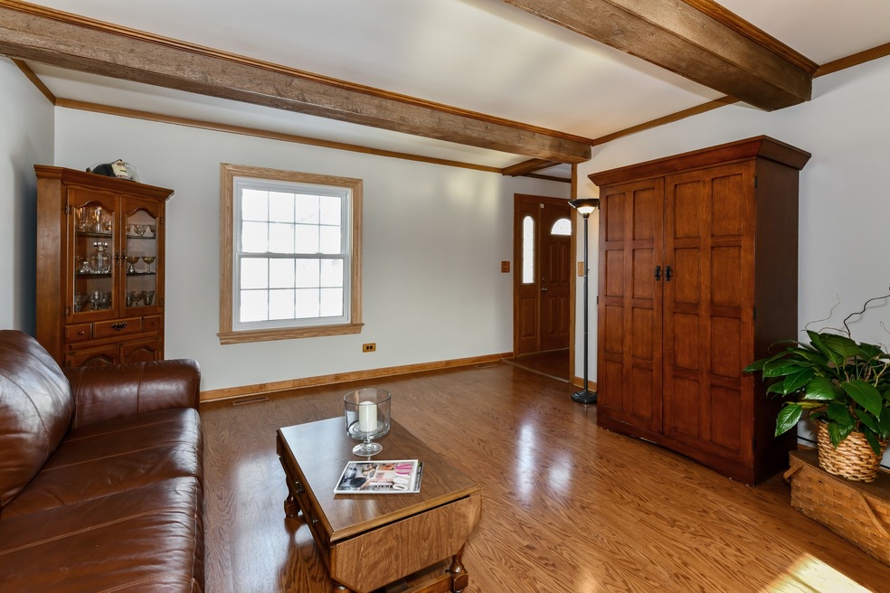 1330 Canyon Run Rd, Naperville, IL 60565 - photo 1