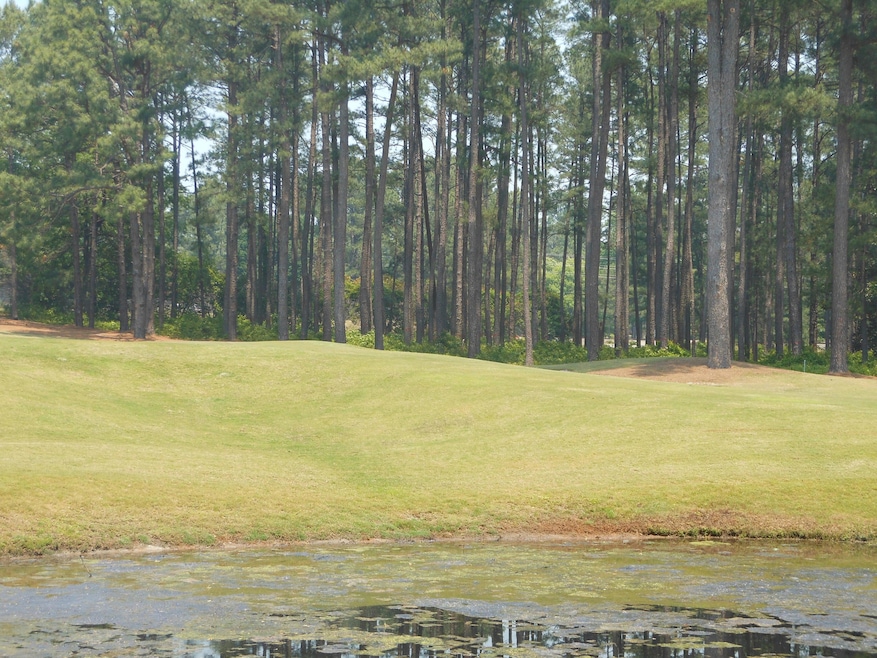View from the course