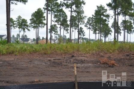 5017 Stoney Point Dr, Leland, NC 28451 - photo 1