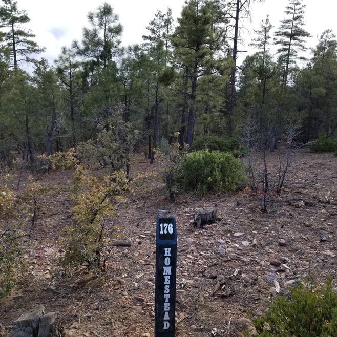 Lot 176