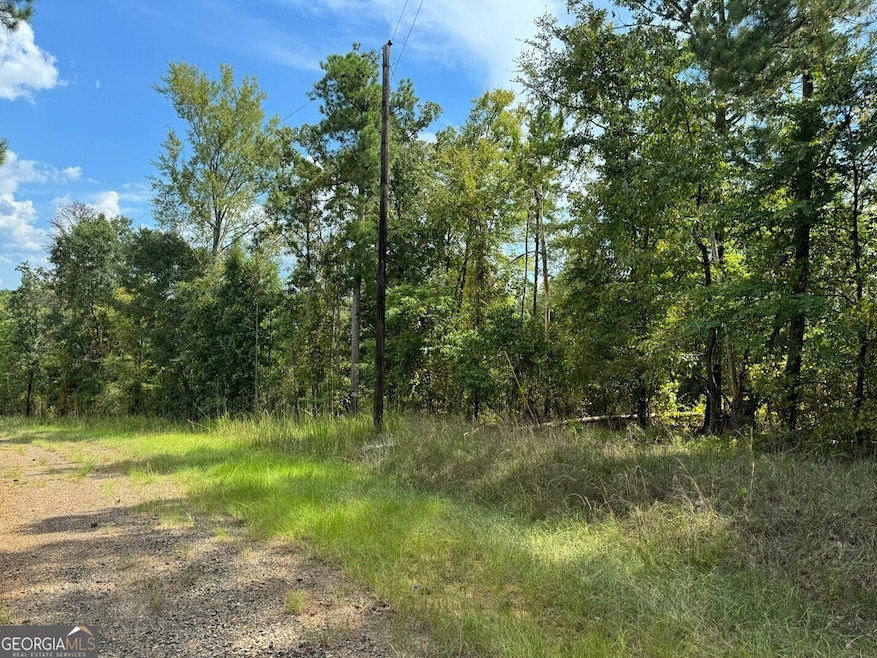 0 Day Lilly Ln, Sparta, GA 31087 - photo 1