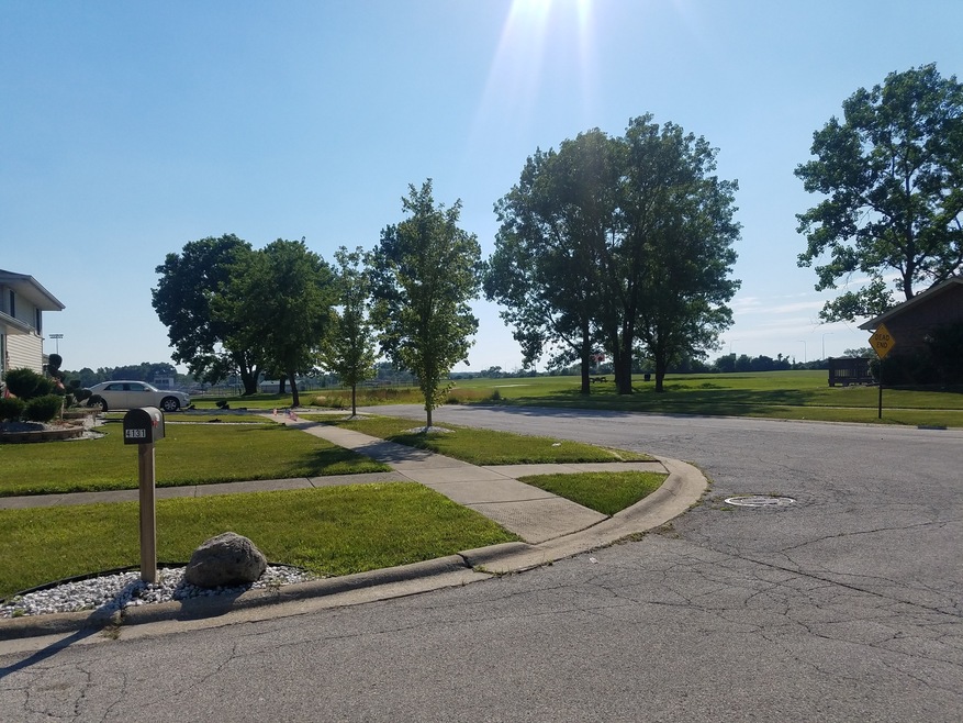 17462 Park Ln, Country Club Hills, IL 60478 - photo 1