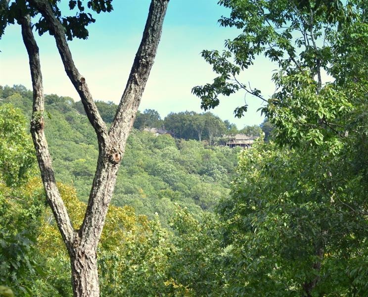 87 Woodpecker Way, Big Canoe, GA 30143 - photo 1