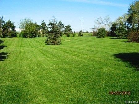 Vacant Land N Ridge Rd