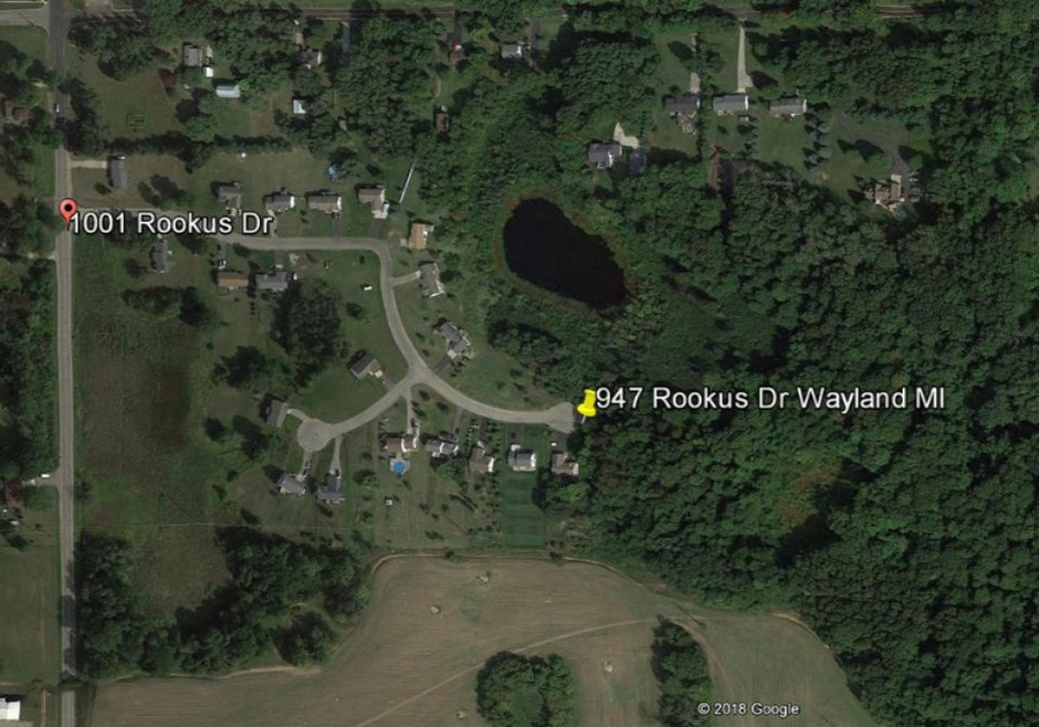 947 Rookus Dr, Wayland, MI 49348 - photo 1