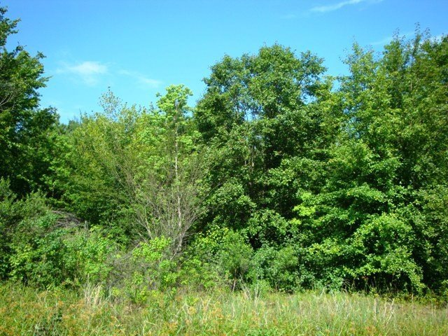 Lot 19 Heather Dr, Texarkana, TX 75501 - photo 1