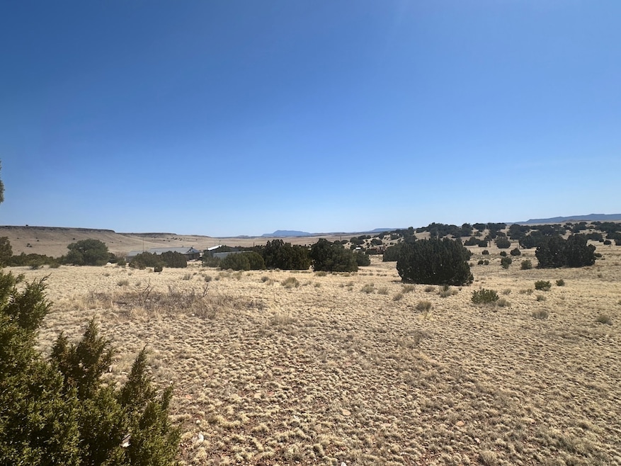 471 Cimarron Dr unit LOT 116 CIMARRON RAN, Quemado, NM 87829 - photo 1