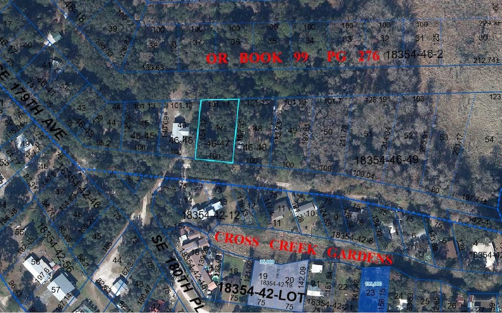 0 SE 179th Ave, Hawthorne, FL 32640 - photo 1