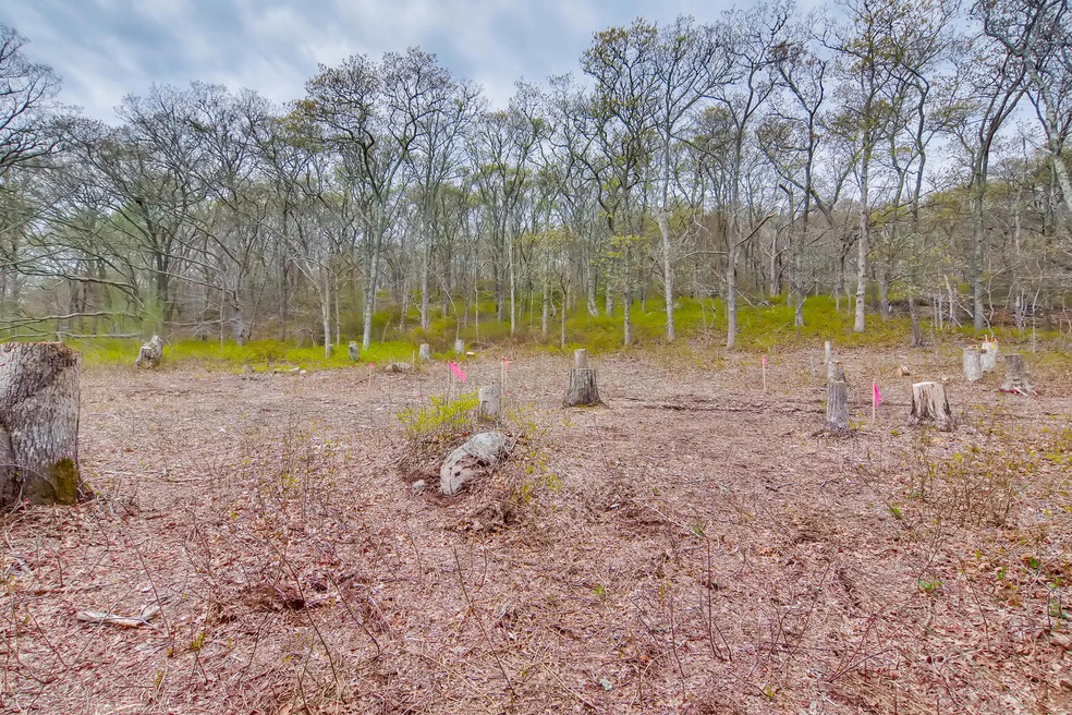 20 Luce Farm Rd, West Tisbury, MA 02575 - photo 1