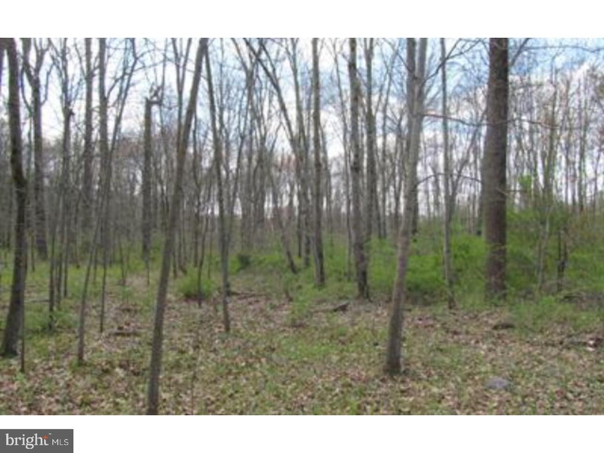 SR-0895 Millers Crossing Rd, West Brunswick Township, PA 17961 - photo 1