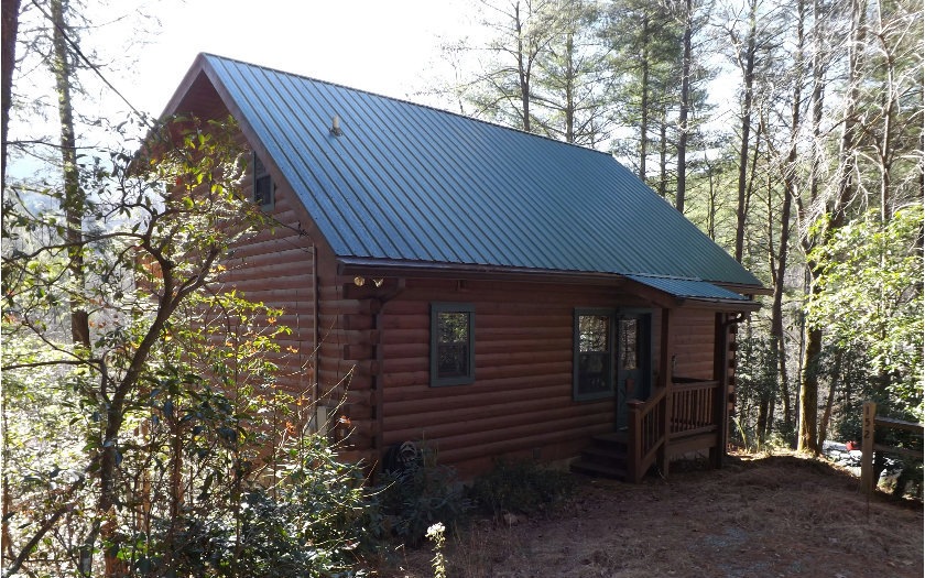 Main View