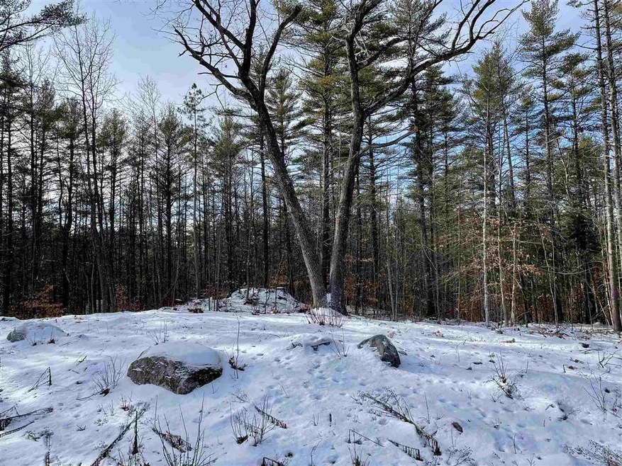 Lot 12 Kidder Dr unit 12, Freedom, NH 03836 - photo 1