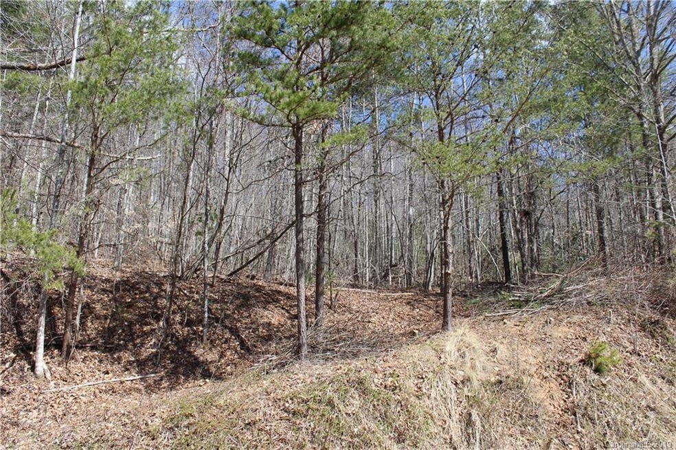 00 Burleson Gap Rd, Burnsville, NC 28714 - photo 1