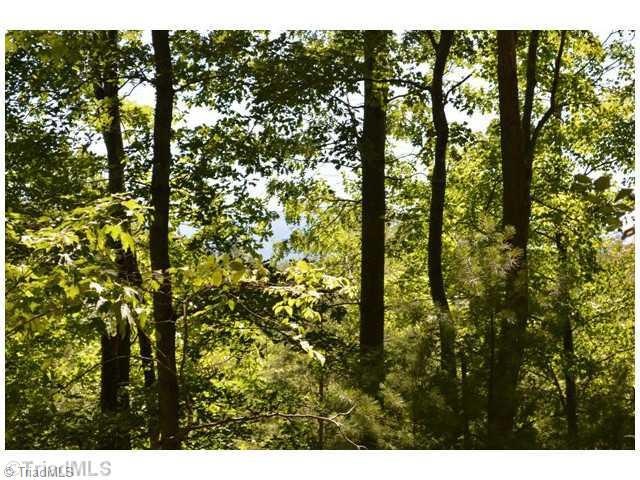 View. See the mountain ridge through the trees.