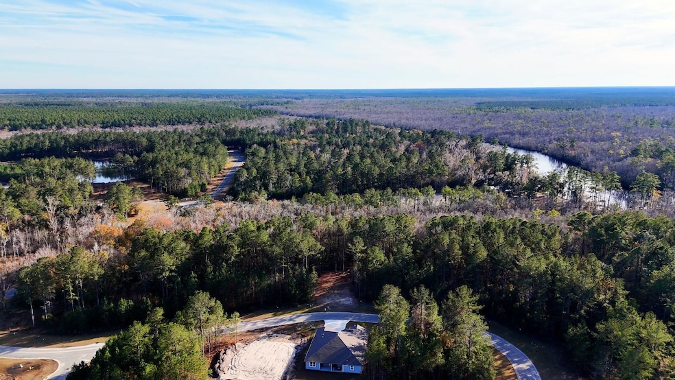 0 Breakwater Loop unit 25694794, Kingsland, GA 31548 - photo 1