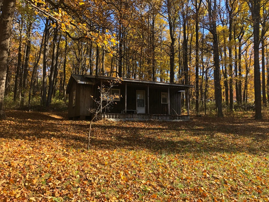 rustic cabin