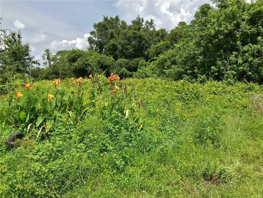 890 Bayard St, Port Charlotte, FL 33948 - photo 1