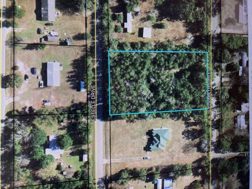 0 Estelle Dr, Crawfordville, FL 32327 - photo 1