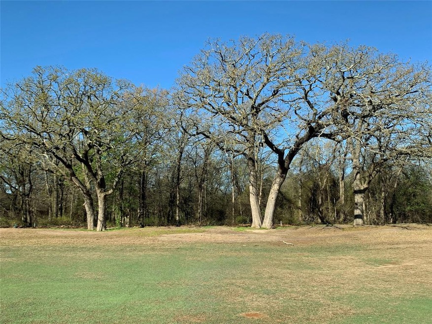 24026 Wood Hollow Dr, Whitney, TX 76692 - photo 1