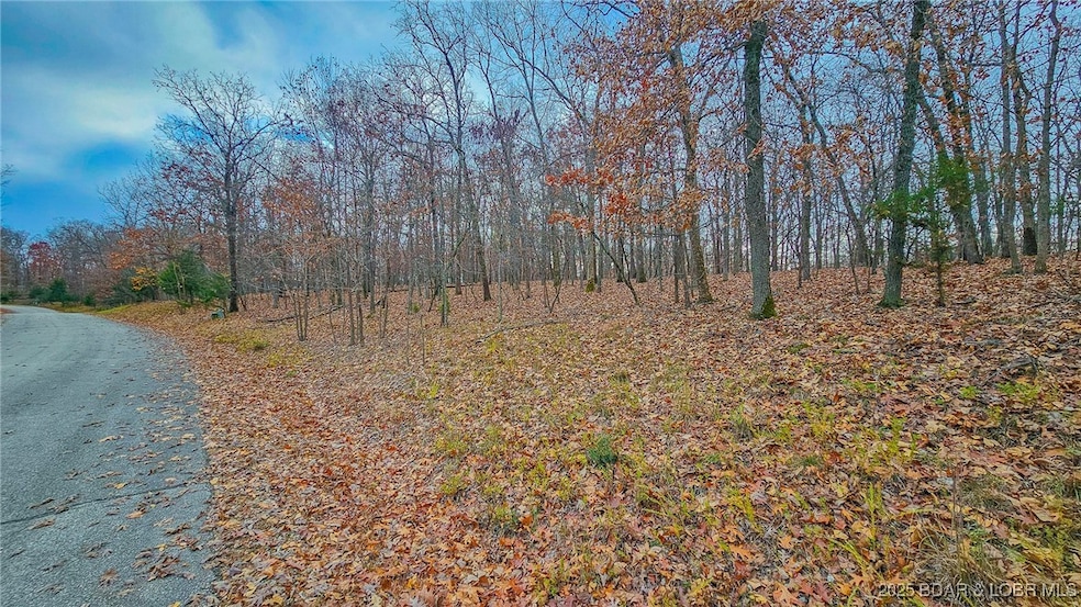 Lot #302 Lake Dr, Jasper Township, MO 65079 - photo 1