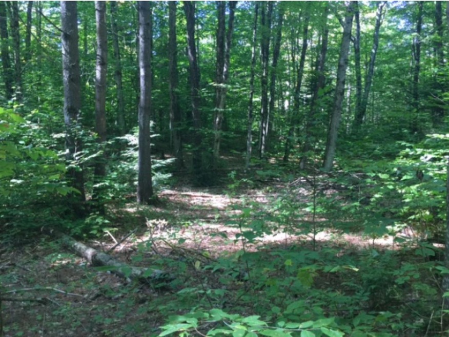 1523 Mcmillan Rd, Halifax, VT 05342 - photo 1