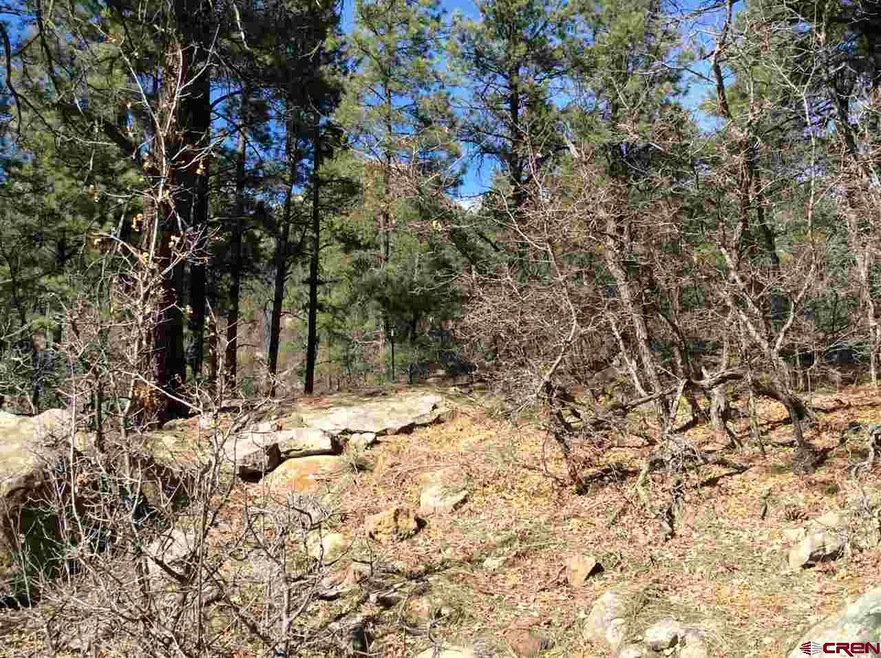 0 Twin Buttes Ave unit 729676, Durango, CO 81301 - photo 1