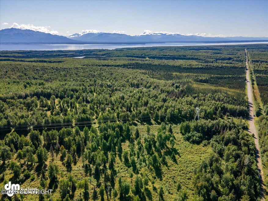 Aerial with Lewis Loop
