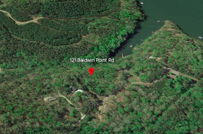 Google Earth