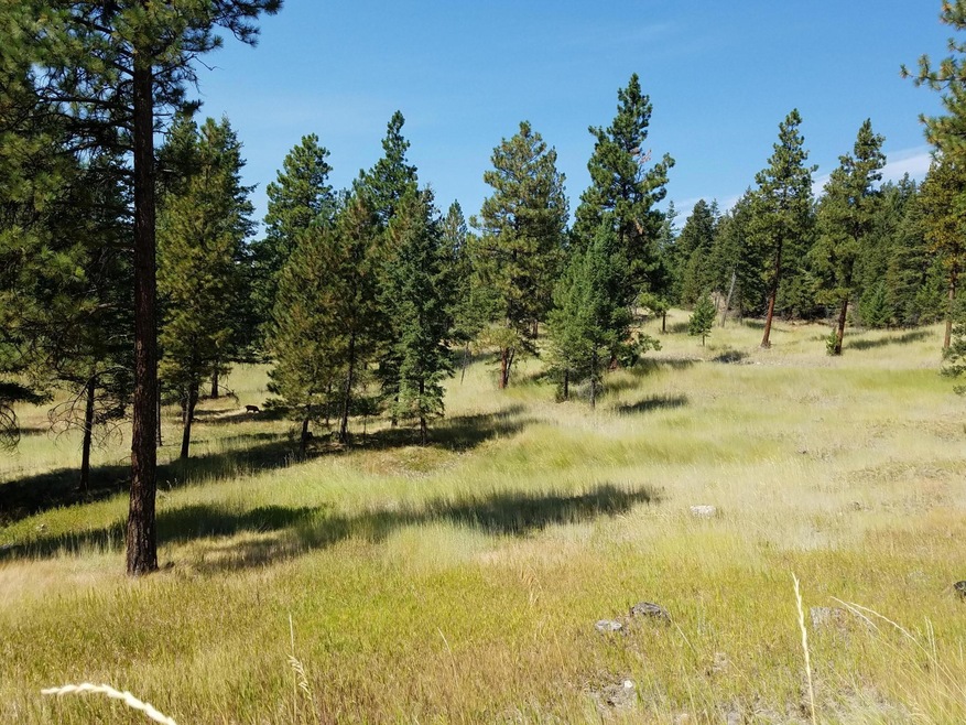 Nhn Torto Loop, Kila, MT 59920 - photo 1