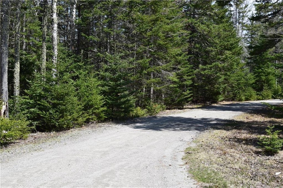 View of lot from subdivision road.