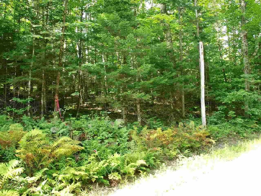 Lot 8.3 Cyr, Bethlehem, NH 03574 - photo 1