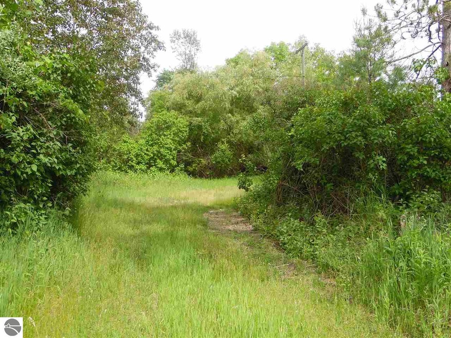 0 S M-65 unit 1818288, Turner, MI 48765 - photo 1