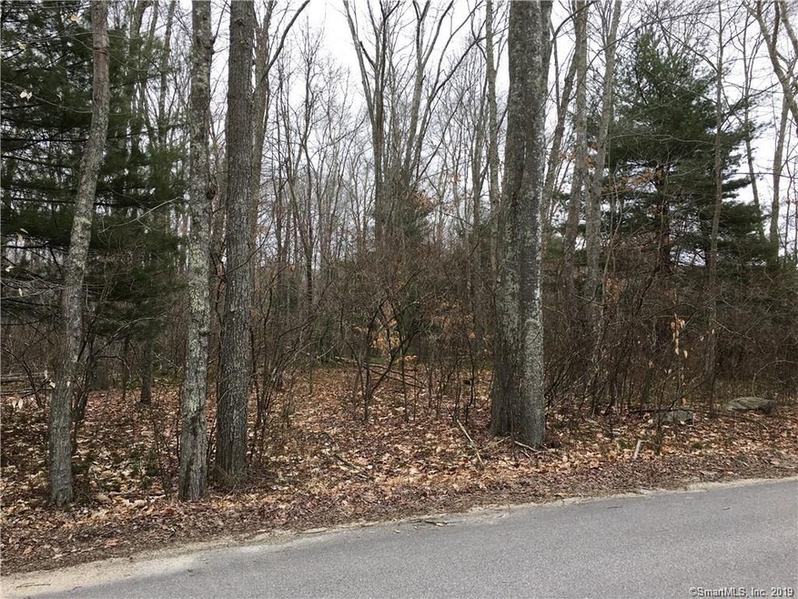 0 Grassy Hill Rd unit 170172559, Old Lyme, CT 06371 - photo 1