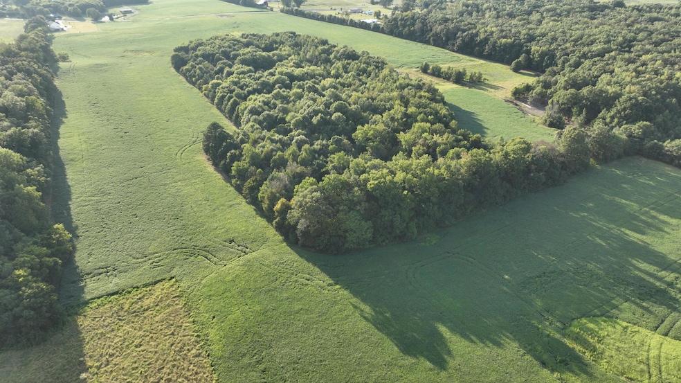 Pending Call for Price