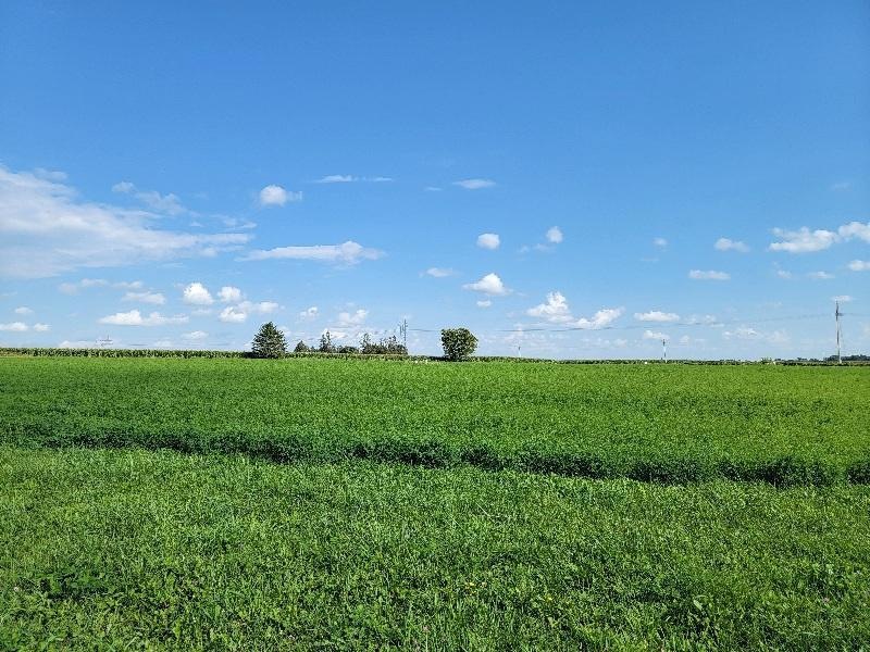 Lot 5,Bk 2 3rd Ave S, Harmony, MN 55939 - photo 1