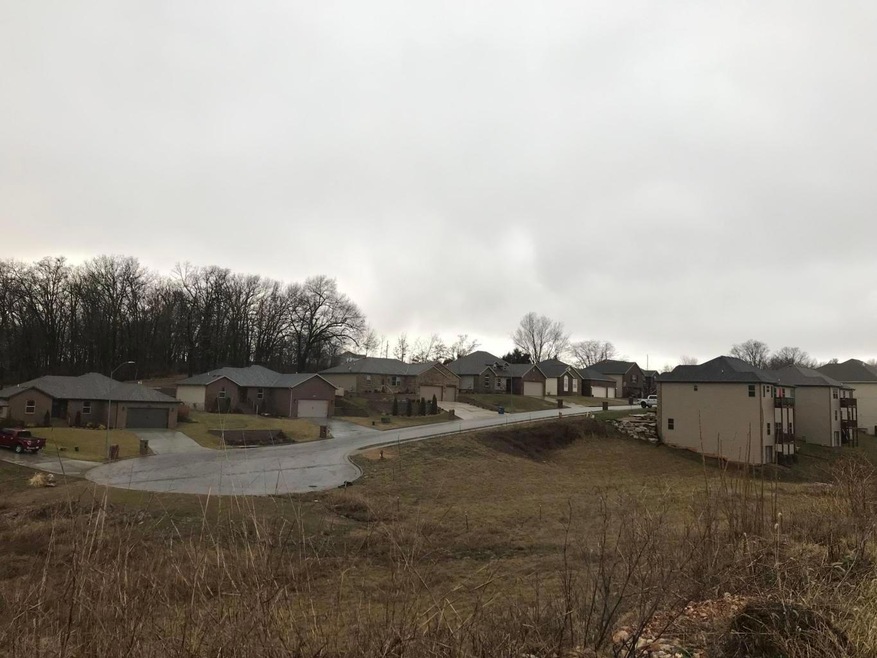 841 Black Sands, Nixa, MO 65714 - photo 1