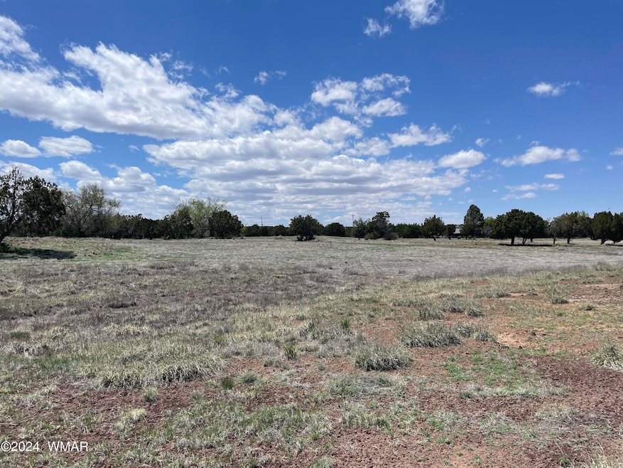 18 Pate Ln, Concho, AZ 85924 - photo 1