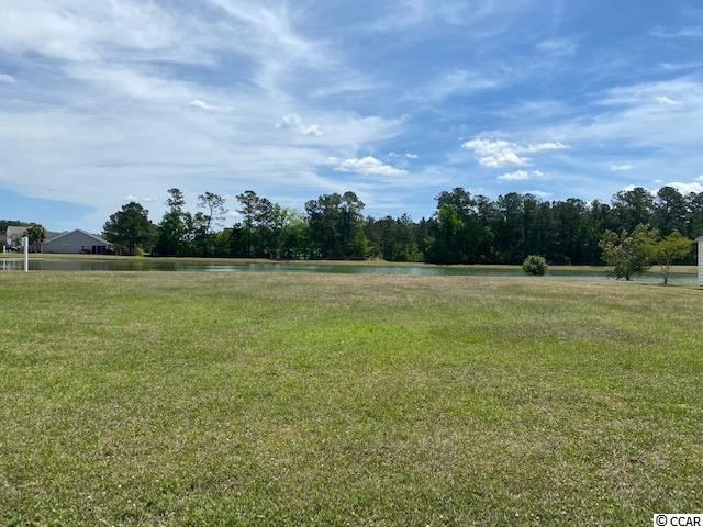 1137 Pecan Grove Blvd, Conway, SC 29527 - photo 1