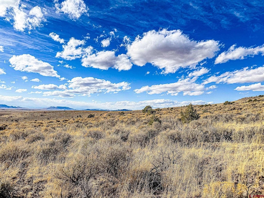 0 Cavalry Trail unit 826006, San Luis, CO 81152 - photo 1